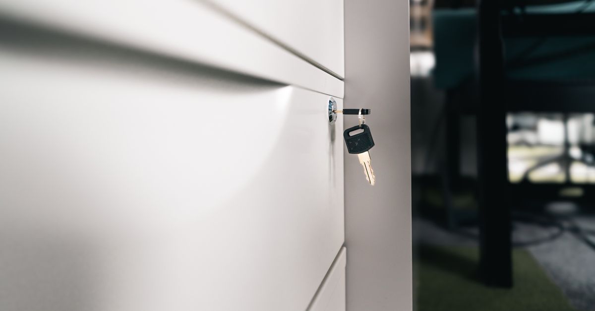 5 Signs Your Mortise Lock Needs Repair Before It Fails — Hinsdale Locksmith Brothers